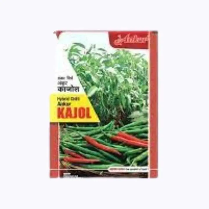 Ankur Kajol Hybrid Chilli Seeds – main view