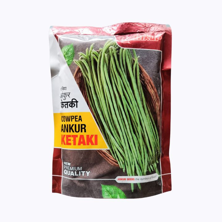 Ankur Ketaki Cowpea Seeds
