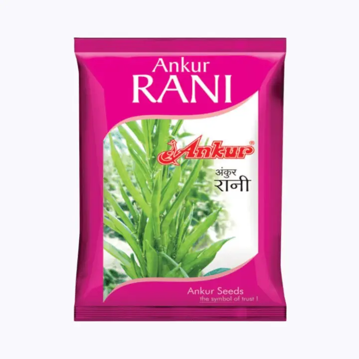 Ankur Rani Guar Seeds – main view