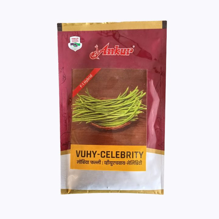 Ankur Vuhy Celebrity F1 Hybrid Cowpea Seeds