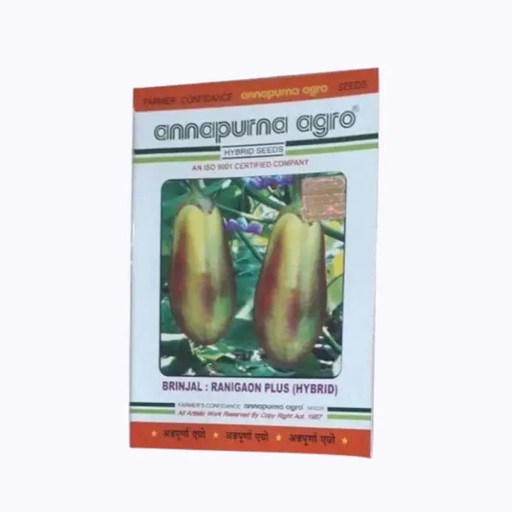 Annapurna Agro Ranigaon Plus Brinjal Seeds – main view