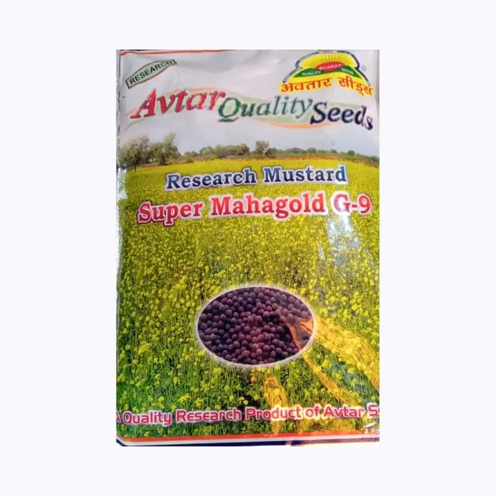 Avtar Super Mahagold G-9 Mustard Seeds – main view