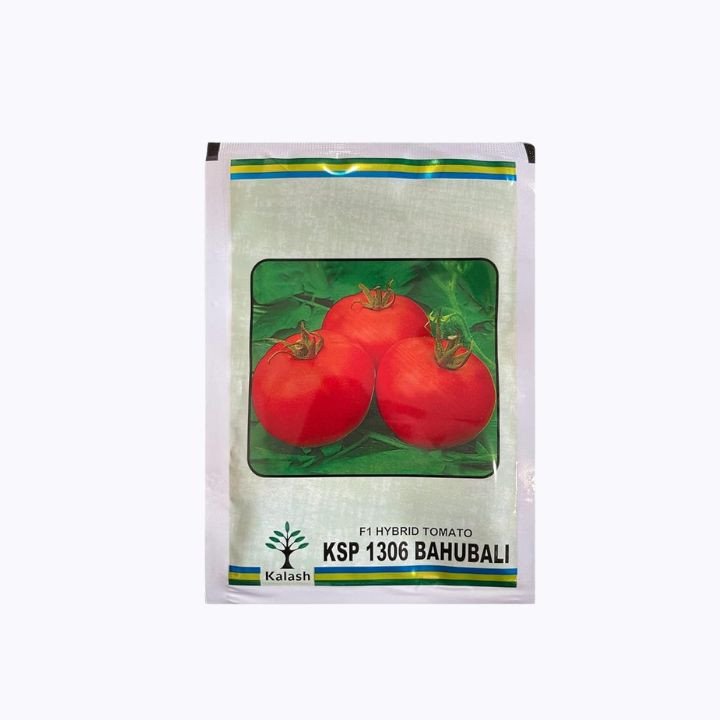 Kalash KSP 1306 Bahubali F1 Hybrid Tomato Seeds
