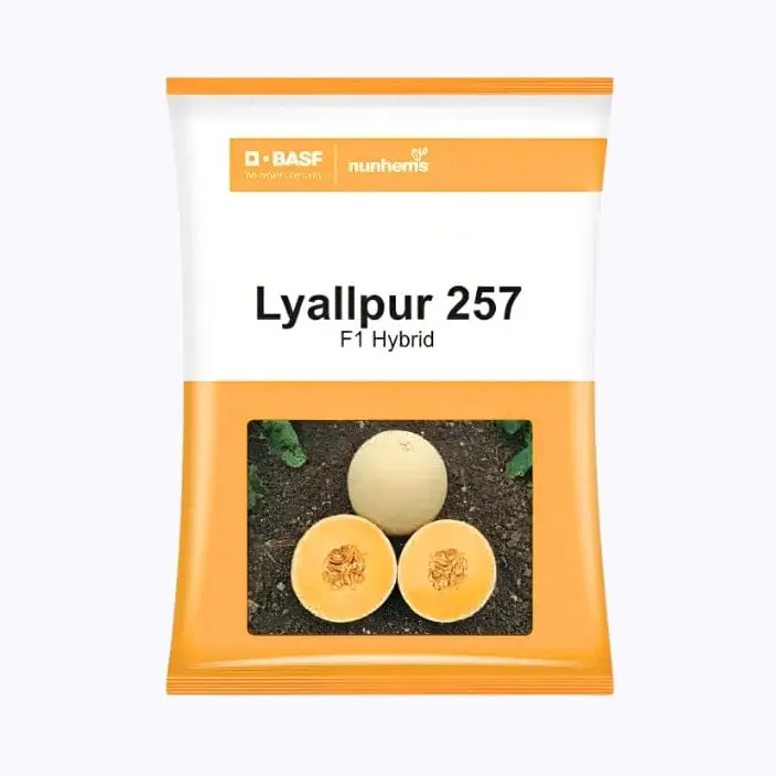 BASF Nunhems Lyallpur 257 Muskmelon Seeds – main view