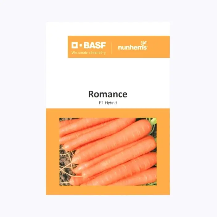 BASF Nunhems Romance Carrot Seeds – main view
