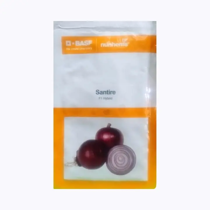 BASF Nunhems Santire Onion Seeds – main view