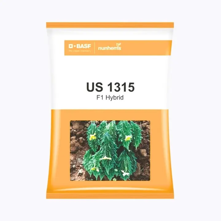 BASF Nunhems US 1315 Bitter Gourd Seeds – main view