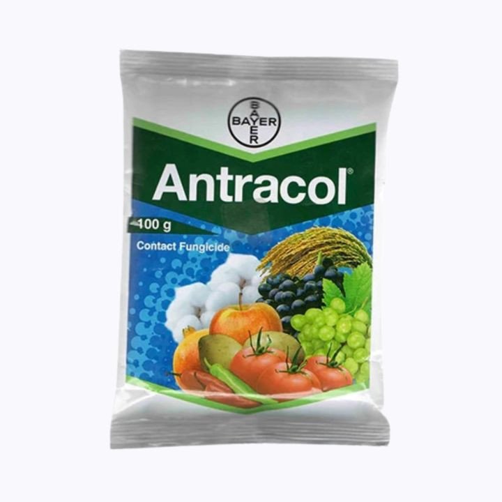 Bayer Antracol – Propineb 70% WP Fungicide