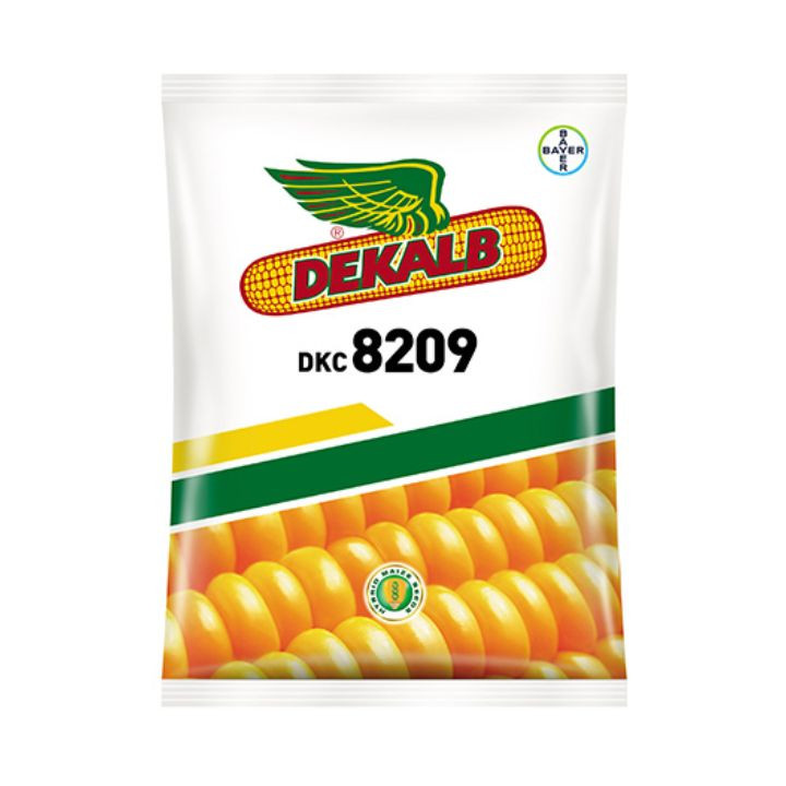 Bayer DKC 8209 Corn Seeds