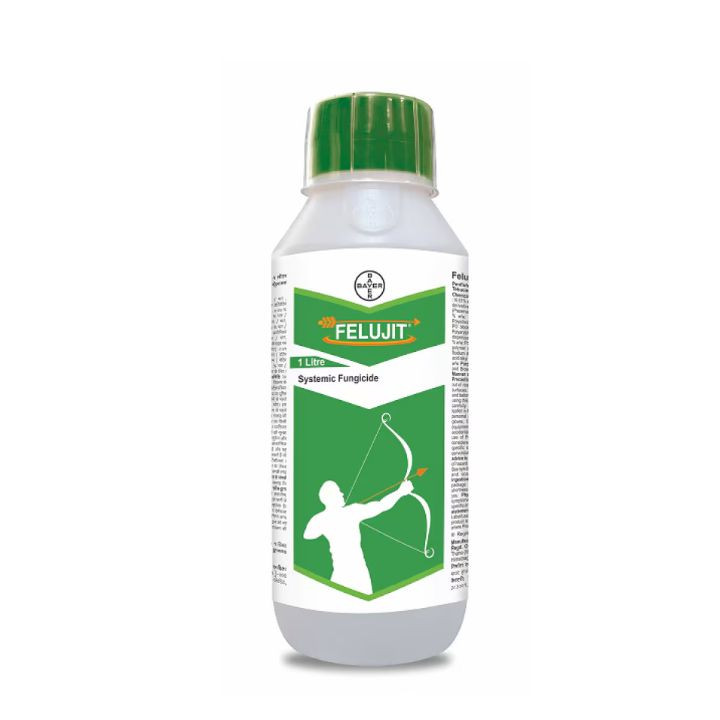 Bayer Felujit (Thifluzamide 24% SC) Fungicide
