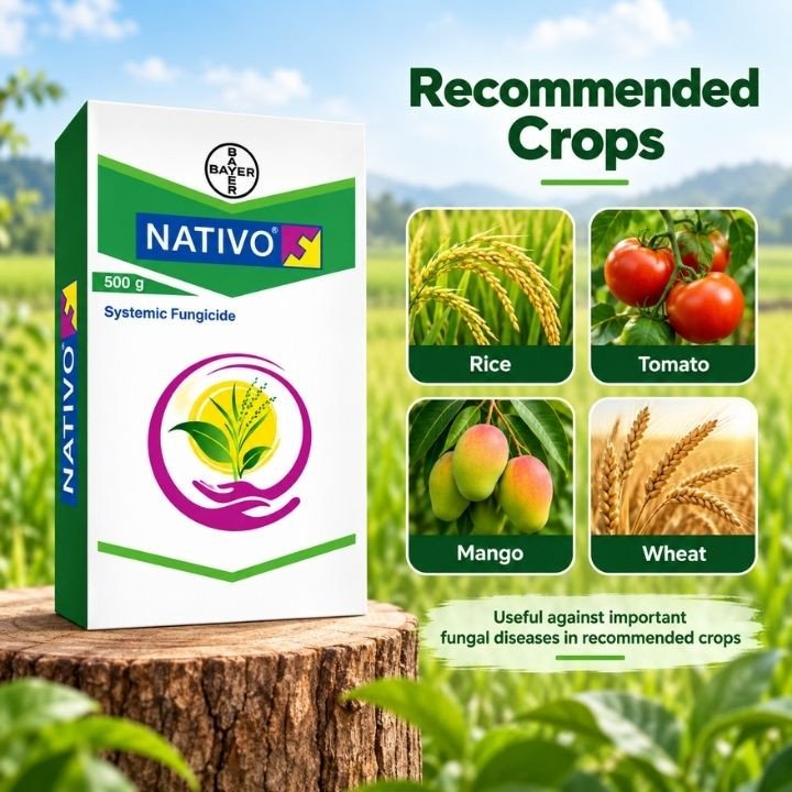 Bayer Nativo Fungicide - image 2 of 4