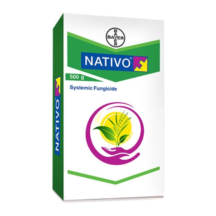 Bayer Nativo Fungicide