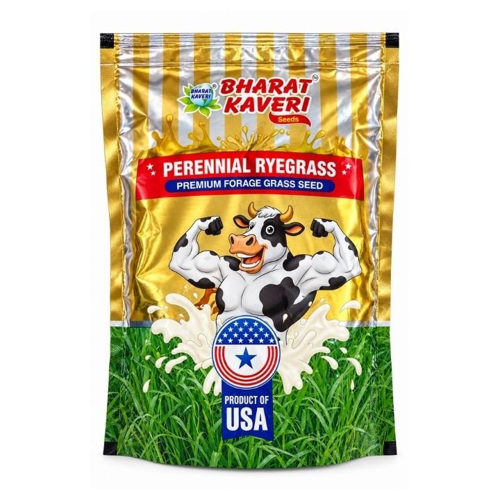 Bharat Kaveri Perennial Ryegrass Forage Grass Seeds