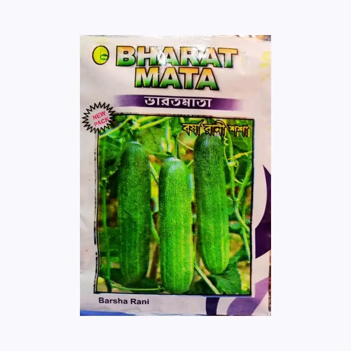 Bharat Mata Barsha Rani (बंगाली खीरा) Cucumber Seeds – main view