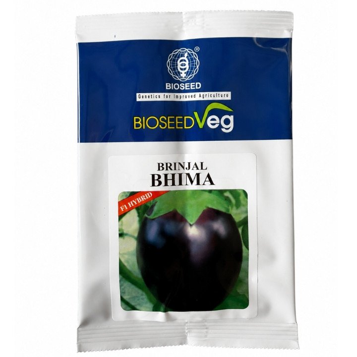 Bioseed Veg Bhima F1 Hybrid Brinjal Seeds