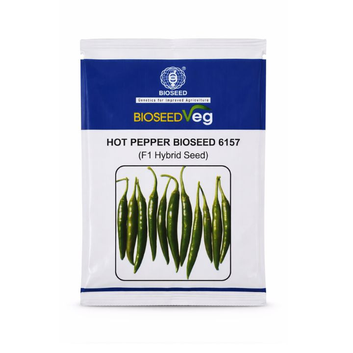 Bioseed Hot Pepper 6157 Hybrid Chilli Seeds
