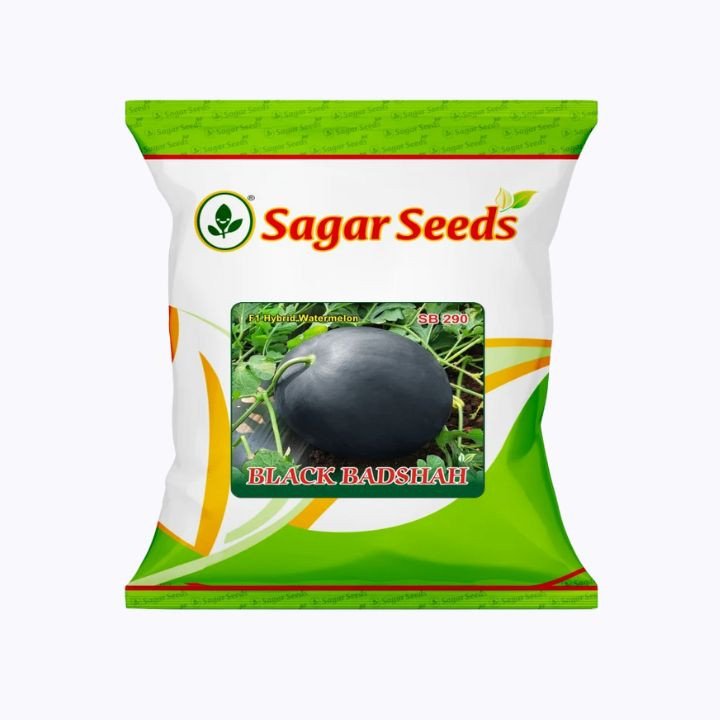 Sagar Black Badshah Watermelon Seeds