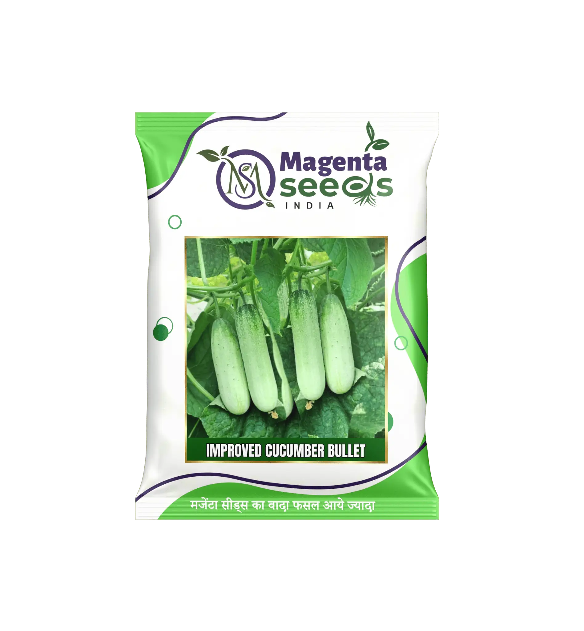 Bullet - Desi Khira Cucumber Seeds