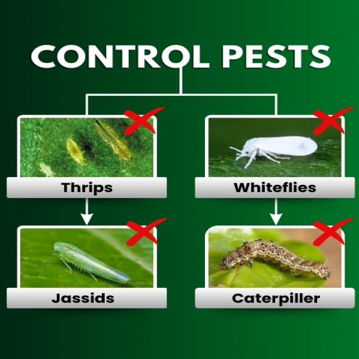 Katyayani Triple Attack (VBM) – Bio-Insecticide – thumb