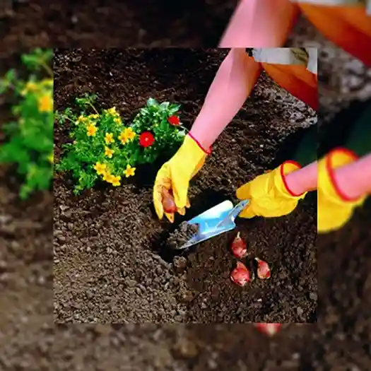 Wolf-Garten Planting Trowel (LU-P) – thumb