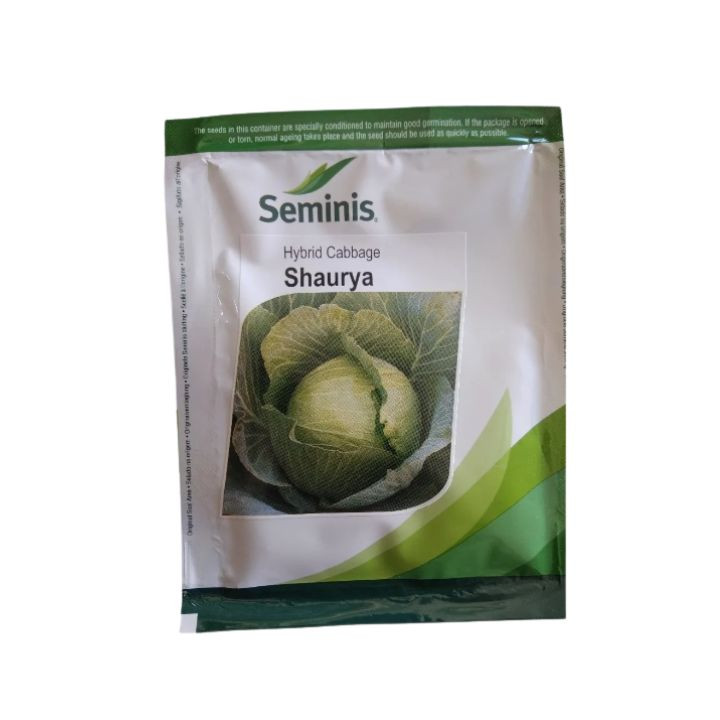 Seminis Shaurya F1 Hybrid Cabbage Seeds
