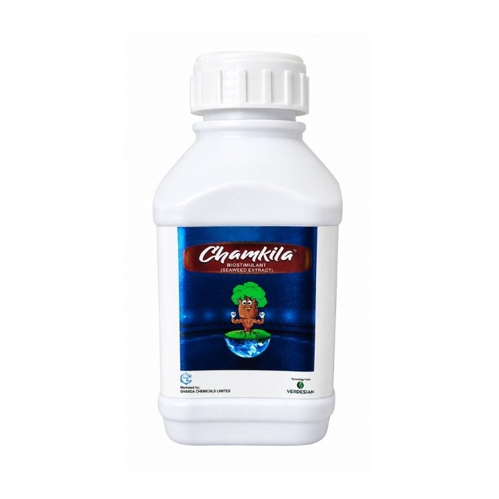 Gharda Chamkila Seaweed Extract Biostimulant
