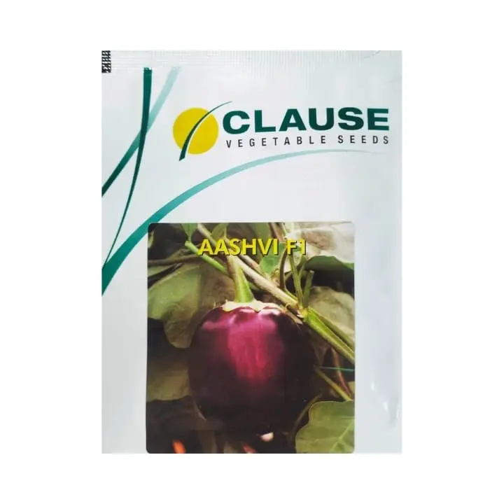 Clause Aashvi Brinjal Seeds – main view