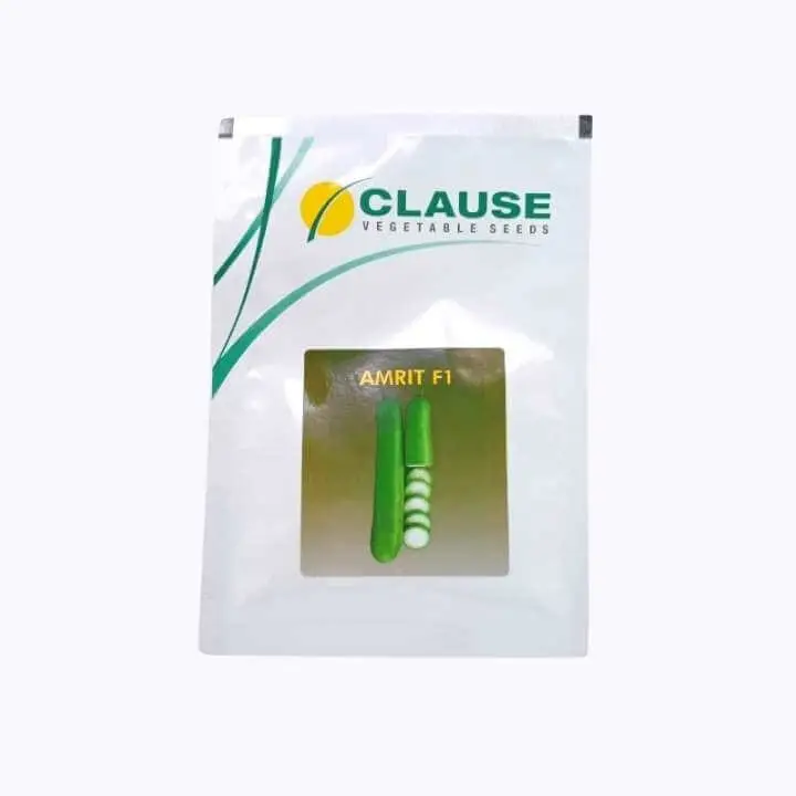 Clause Amrit F1 Hybrid Bottle Gourd