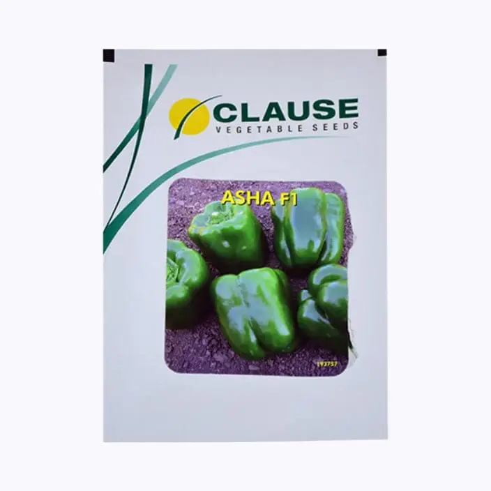 Clause Asha Capsicum Seeds – main view