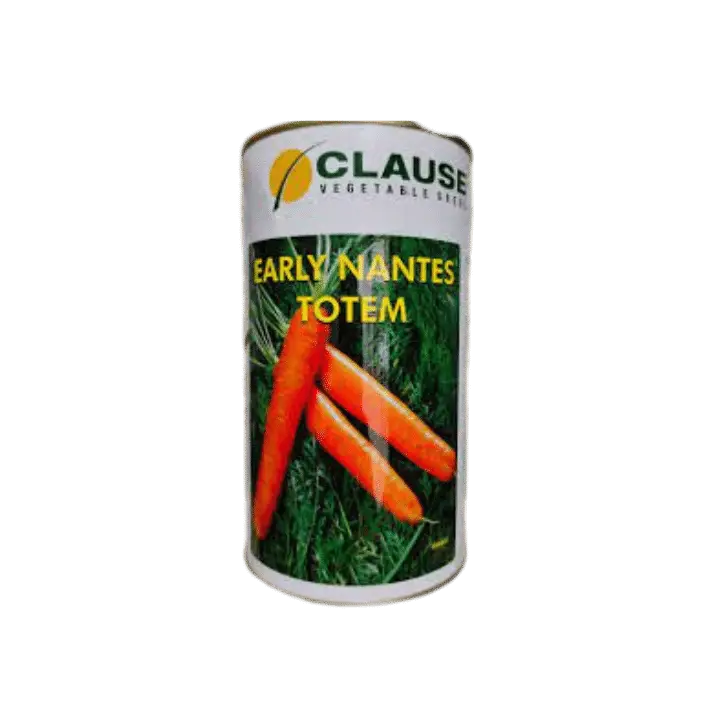 Clause Early Nantes Toten Carrot Seeds – main view