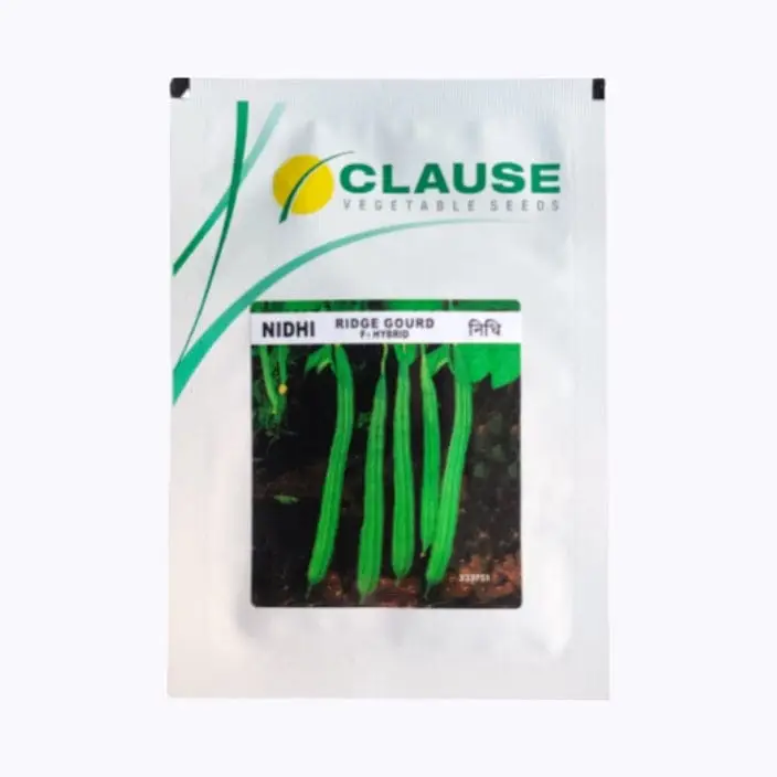 Clause Nidhi Ridge Gourd Seeds – main view
