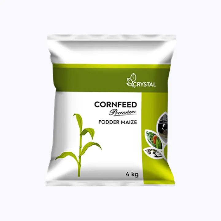 Crystal Cornfeed Premium Fodder Maize Seeds – main view