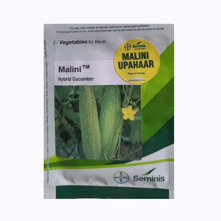 Seminis Malini – Hybrid Cucumber Seeds (Bayer Vegetables)