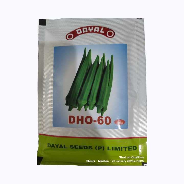 Dayal DHO-60 Hybrid Okra (Bhindi) Seeds
