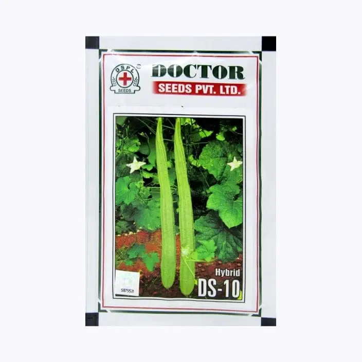 Doctor DS-10 Ridge Gourd Seeds – main view