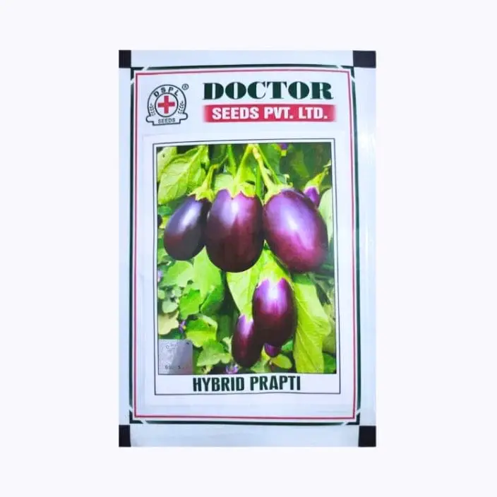 Doctor Prapti Brinjal Seeds – main view