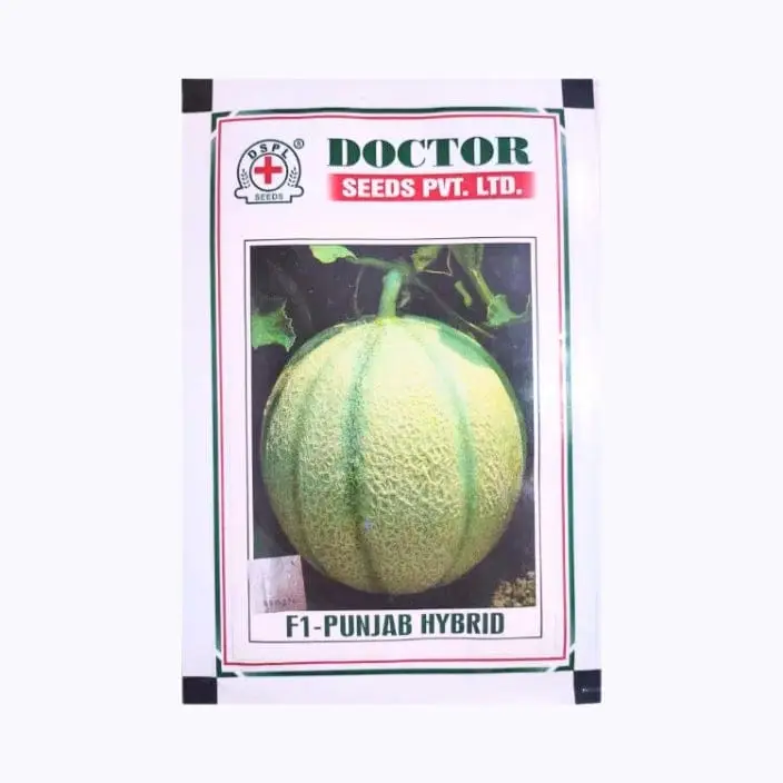Doctor Punjab Muskmelon Seeds – main view