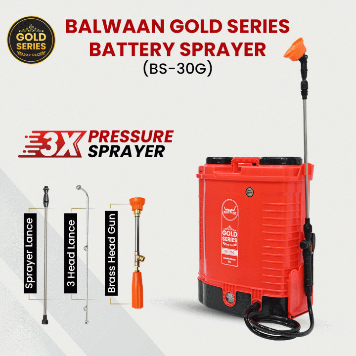 Balwaan Gold Series BS-30G Double Motor Battery Sprayer – thumb