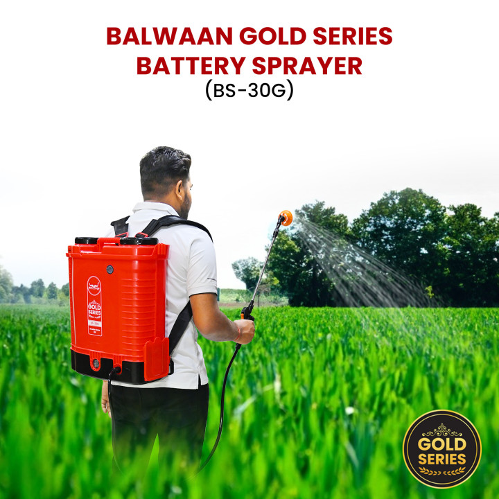 Balwaan Gold Series BS-30G Double Motor Battery Sprayer – thumb