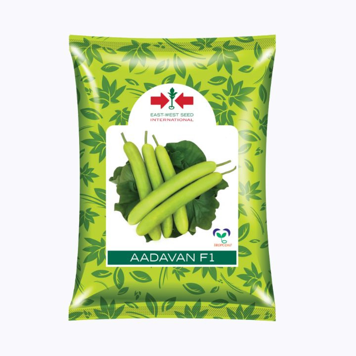 East West Aadavan F1 Hybrid Bottle Gourd (Lauki) Seeds