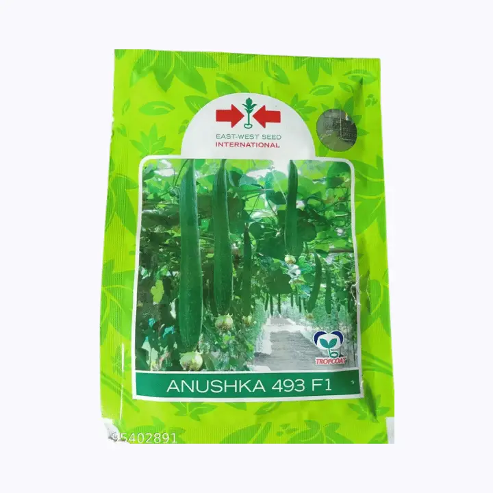 East West Anushka 493 hybrid Sponge Gourd Seeds – main view
