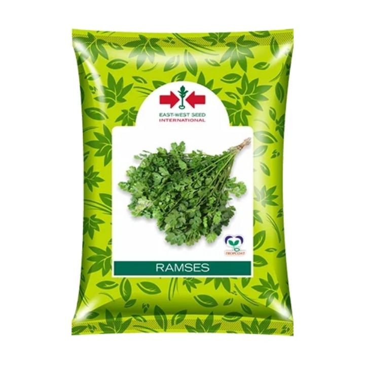 East West Ramses Coriander Seeds – Multi-Cut Dhaniya Variety