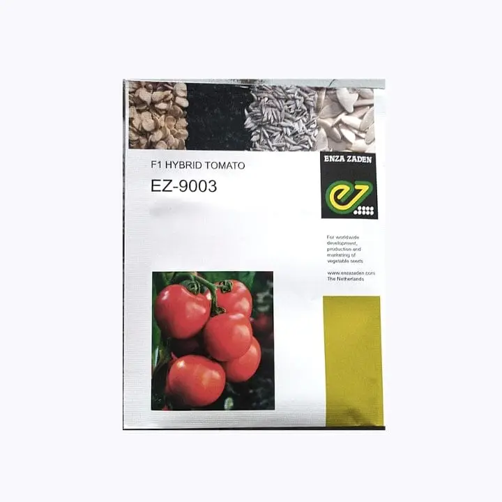 Enza Zaden EZ-9003 Tomato Seed – main view