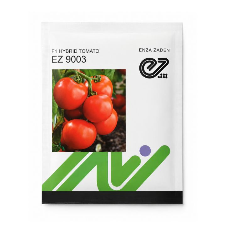 Enza Zaden EZ-9003 Tomato Seed