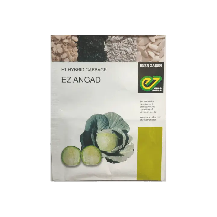 Enza Zaden EZ Angad Cabbage Seeds – main view
