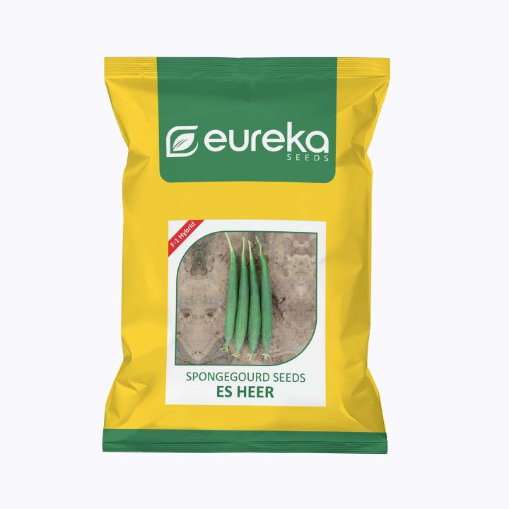 Eureka Heer F1 Hybrid Sponge Gourd ES Seeds