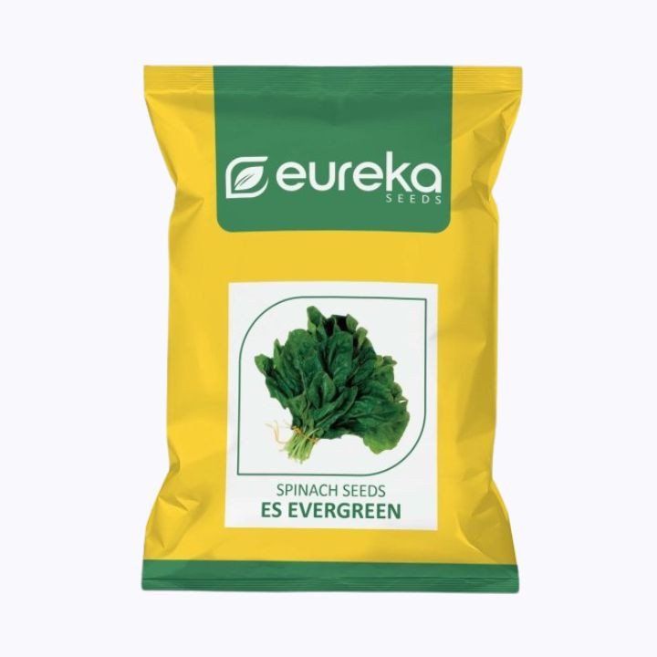 Eureka Palak ES Evergreen Improved Seeds
