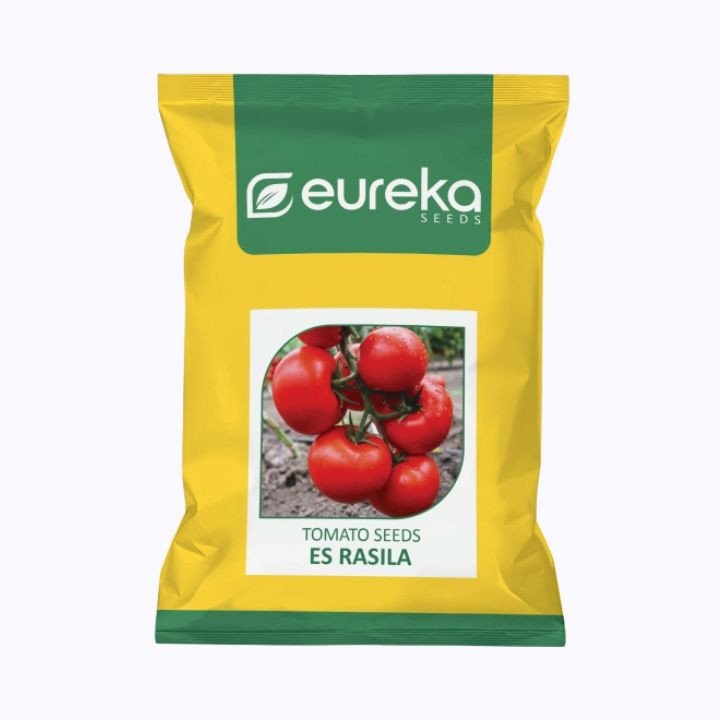Eureka Rasila Improved Tomato ES Seeds