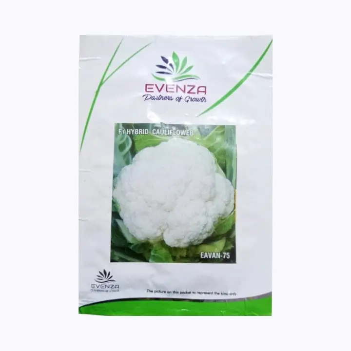 Evenza Eavan-75 Cauliflower Seeds – main view