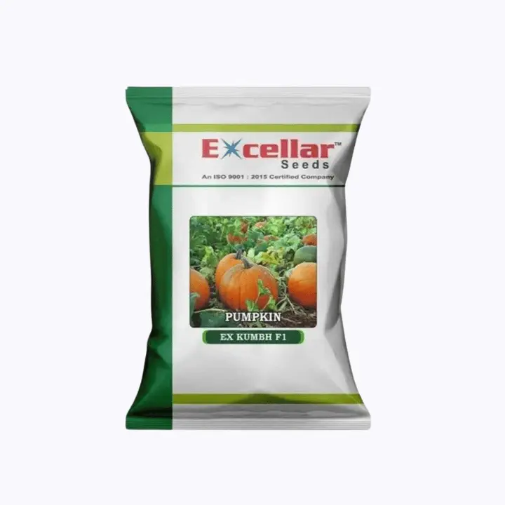 Excellar Kumbh F1 Pumpkin Seed
